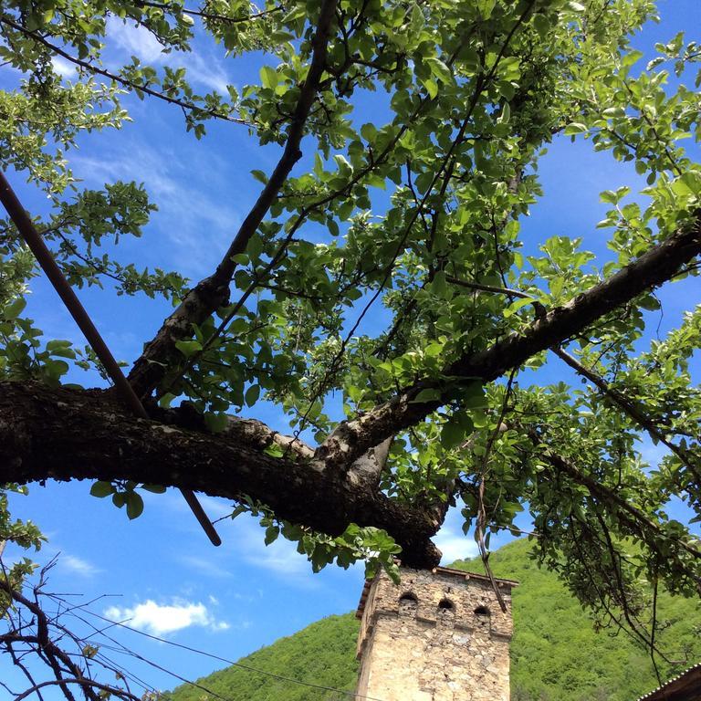 Guest House Chuta In Lagami 메스티아 외부 사진